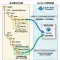 如何將 Docker PostgreSQL 資料庫從具名磁碟卷安全轉移至絕對路徑