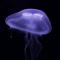 使用 Docker 安裝線上影音 Jellyfin
